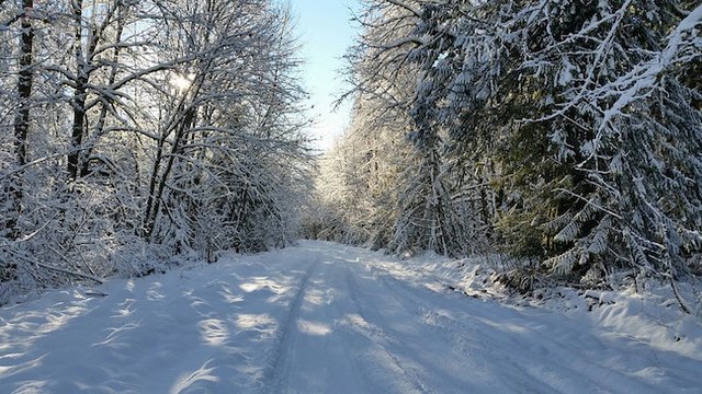 Winter 2018 Nature