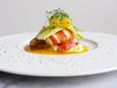 lobster+with+a+citrus+sauce+and+scallion+sprouts.jpg