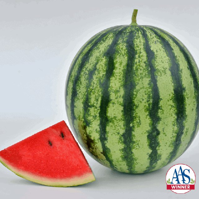 Watermelon_mambo_Logo.png
