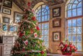 Font-Hill-Christmas-Trees-2018-34_WEB-1024x683.jpeg