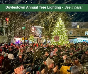 Doylestown 2023 tree lighting